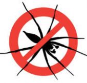 disinfestazione-ragni_orig
